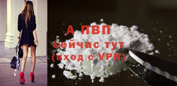 PSILOCYBIN Верея