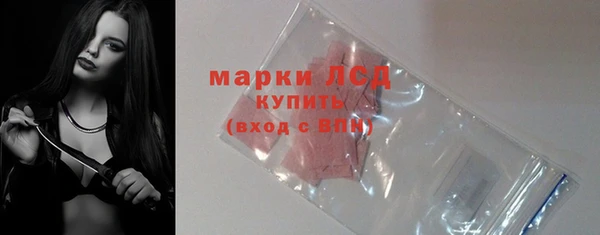 PSILOCYBIN Верея