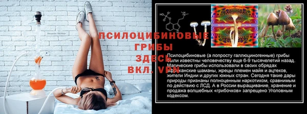 PSILOCYBIN Верхнеуральск