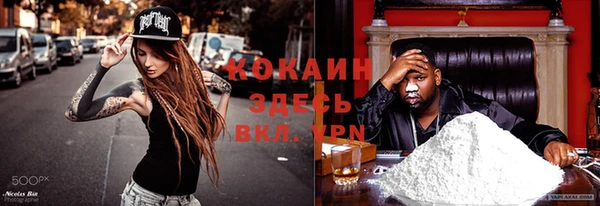 PSILOCYBIN Верея