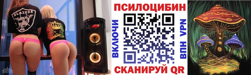 купить   OMG ТОР  Псилоцибиновые грибы мицелий  Искитим 